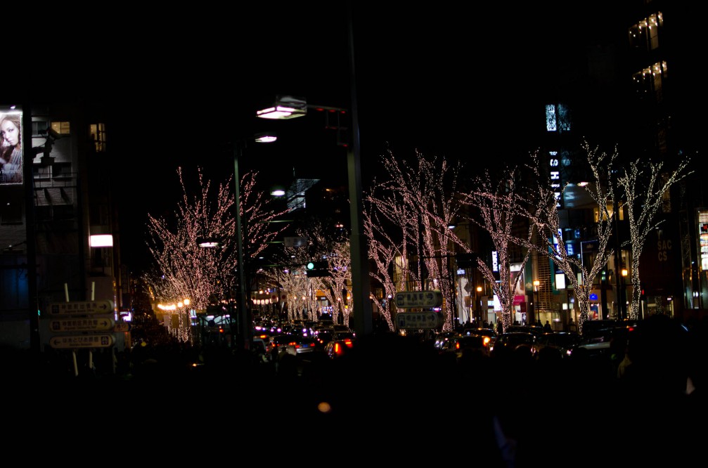 DSC5205 - _DSC5205.jpg _DSC5205.jpg
