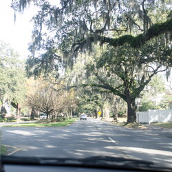 2014-12 Roadtrip to Florida